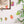 FRUIT SEWN GARLAND