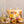 Accent Botanical Reed Diffuser - Sugared Citrus